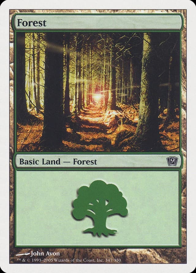 Forest image
