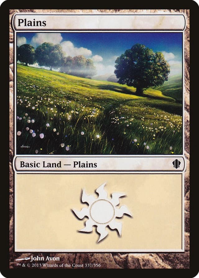 Plains image