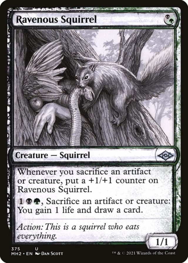 Ravenous Squirrel image