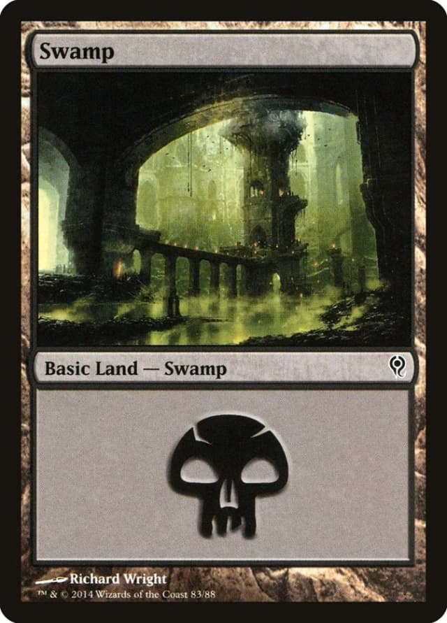Swamp image