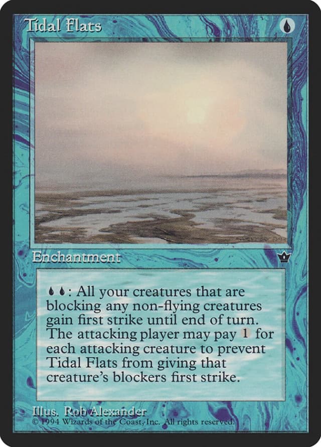 Tidal Flats image