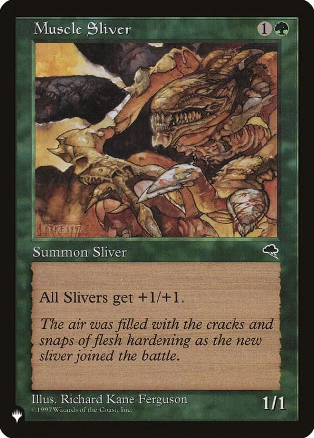 Muscle Sliver image