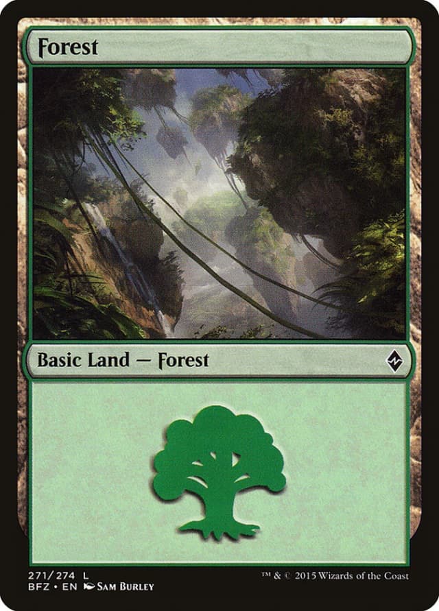 Forest image