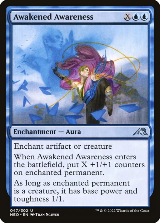 Awakened Awareness image