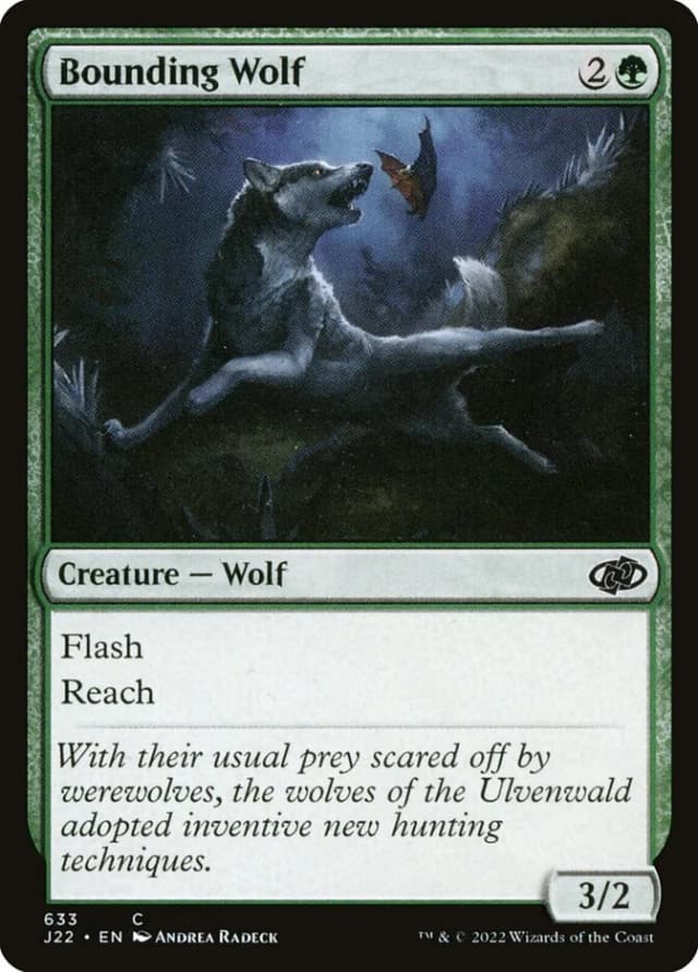 Bounding Wolf image