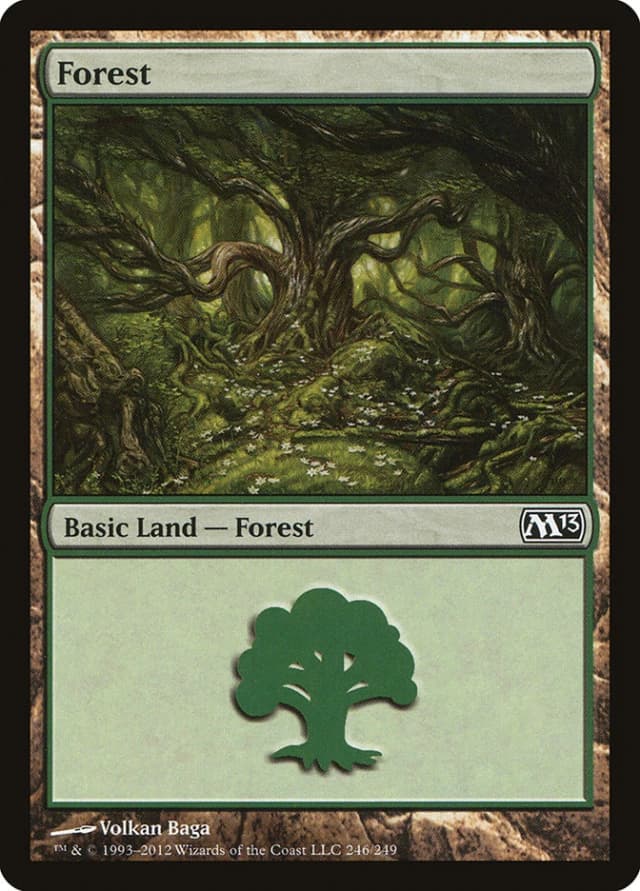 Forest image