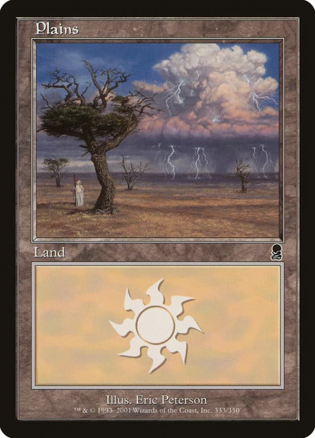 Plains image