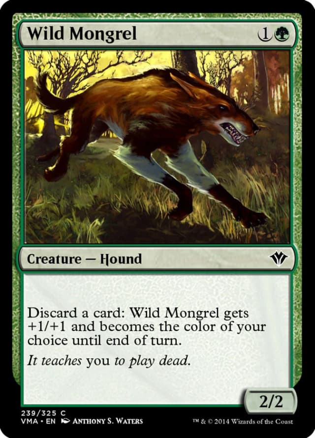 Wild Mongrel image