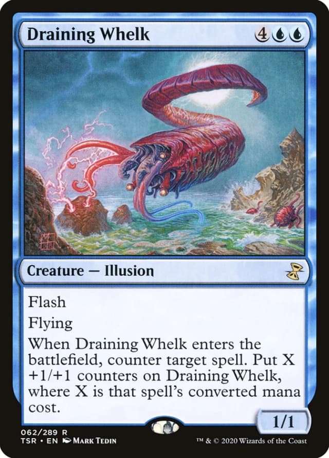 Draining Whelk image