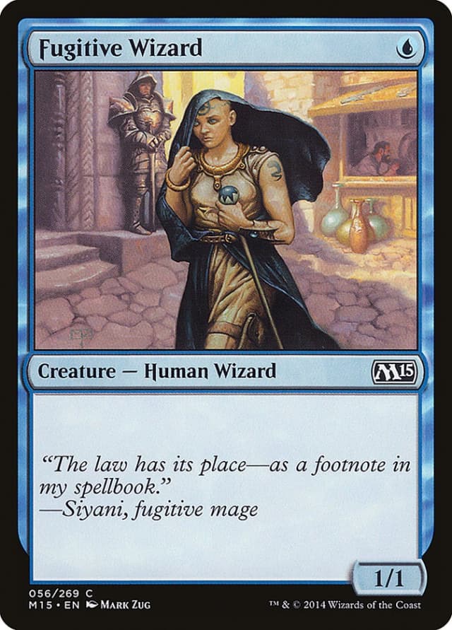 Fugitive Wizard image