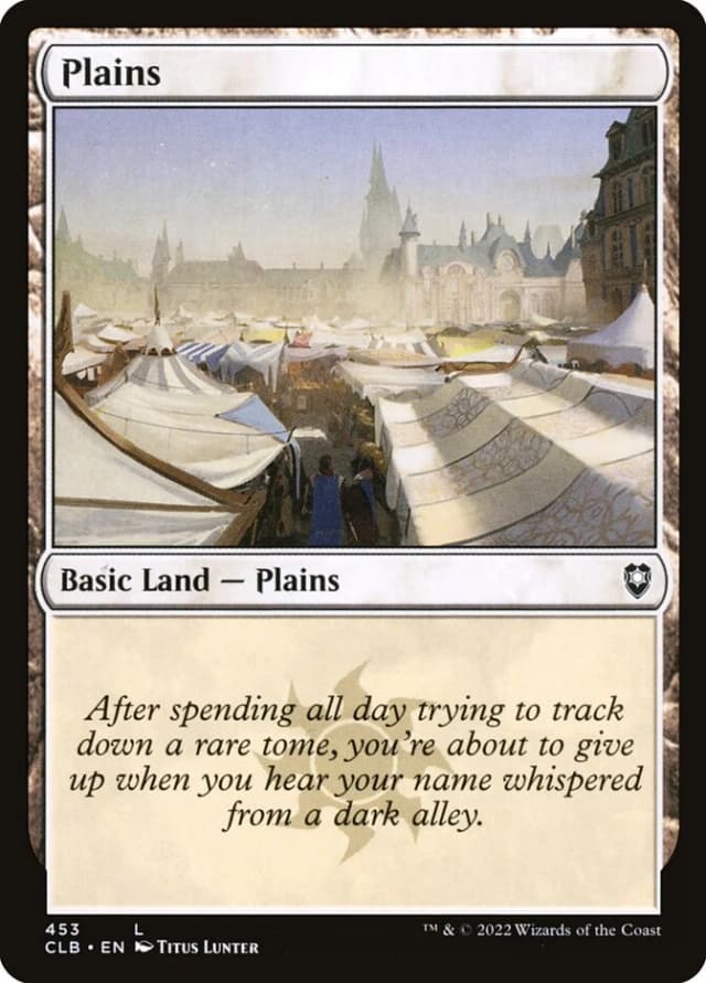 Plains image