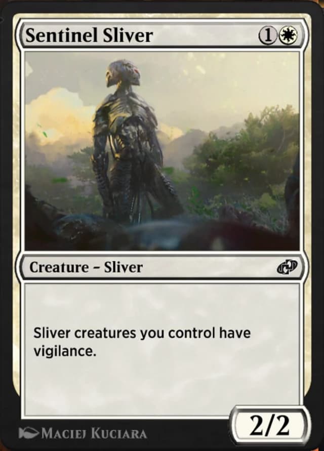 Sentinel Sliver image