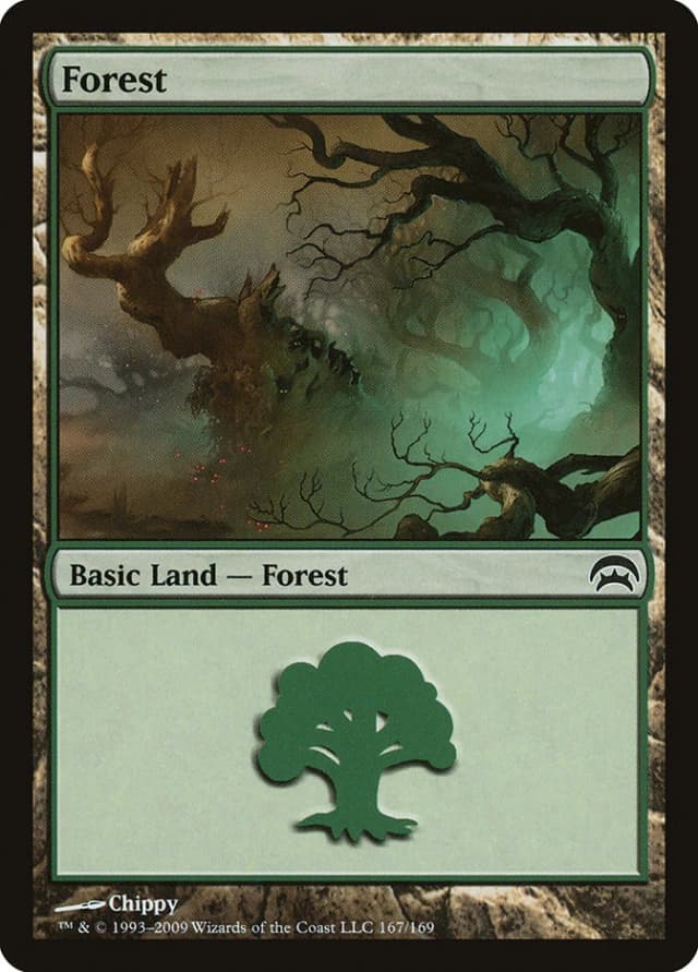 Forest image