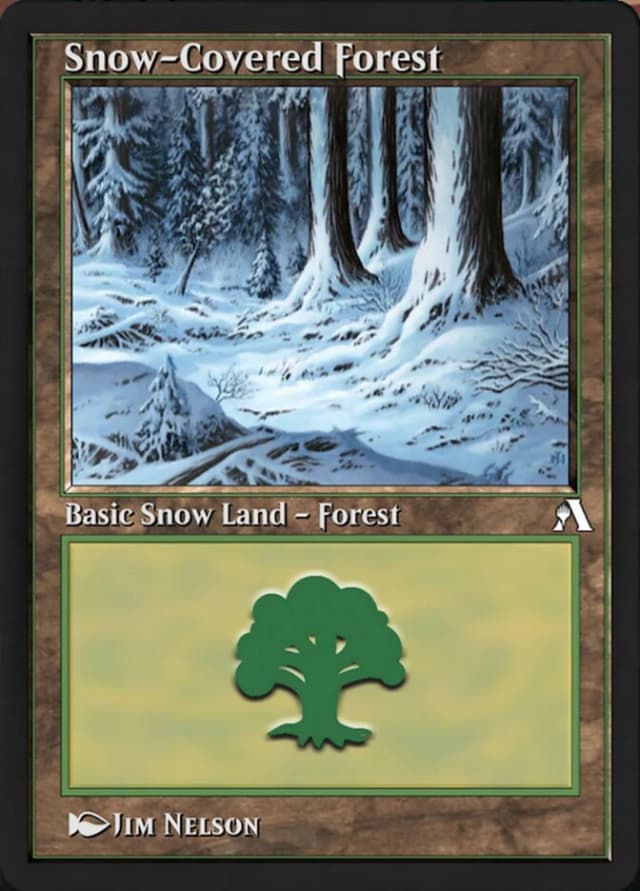 Snow-Covered Forest image