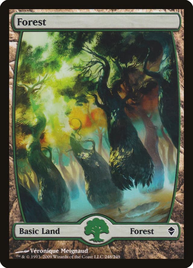Forest image