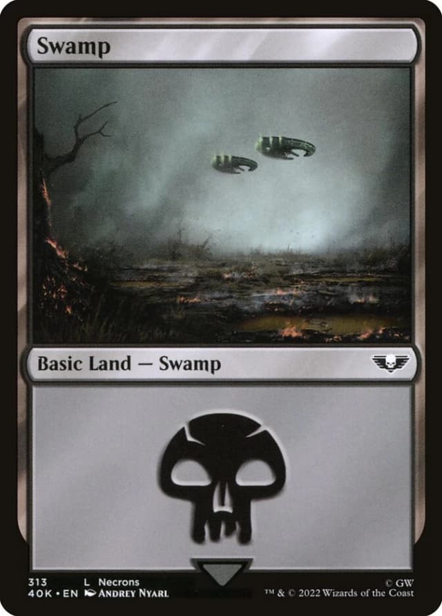 Swamp image