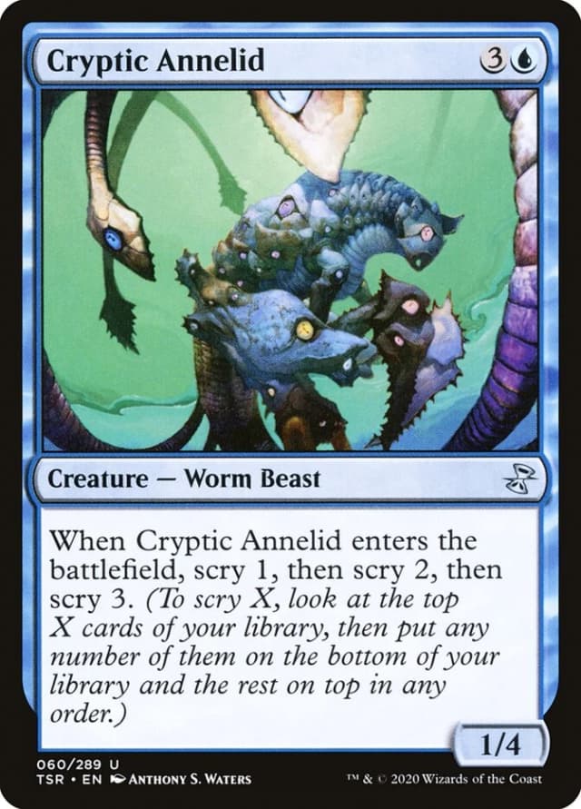Cryptic Annelid image