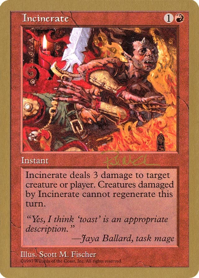 Incinerate image