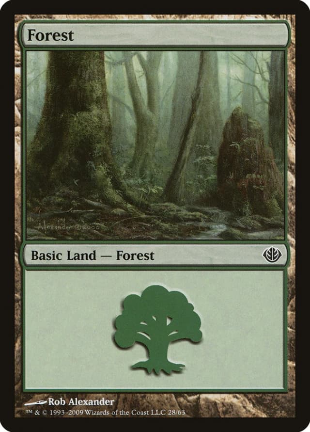 Forest image