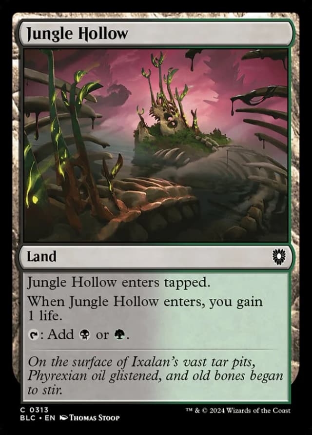 Jungle Hollow image