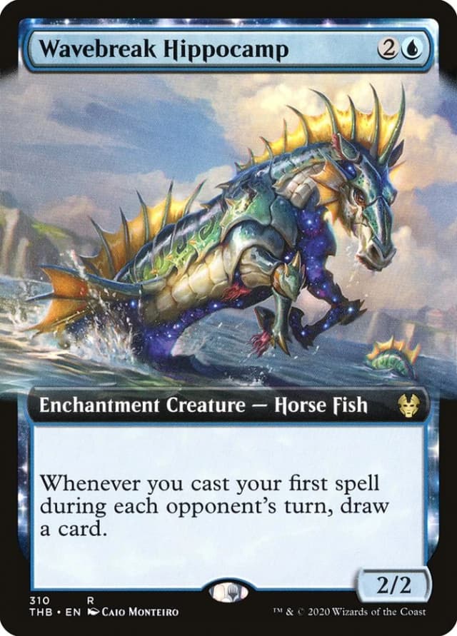 Wavebreak Hippocamp image