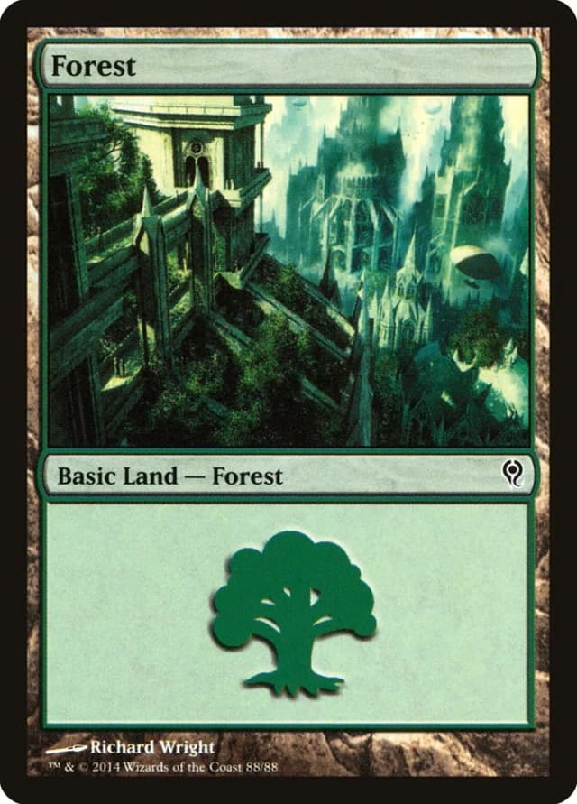 Forest image