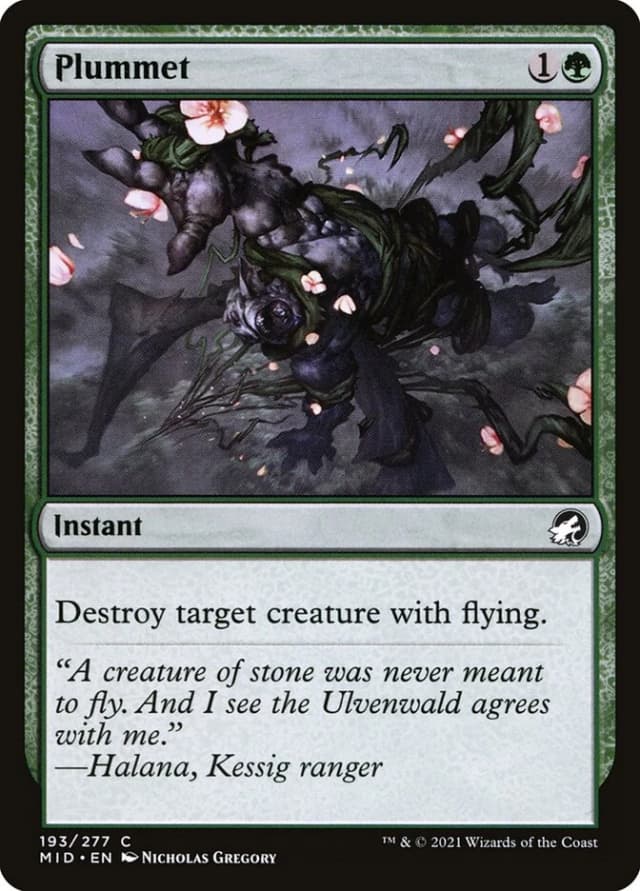 Plummet image