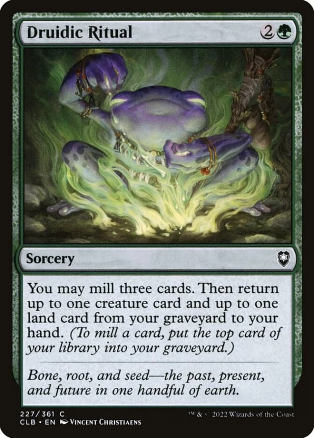 Druidic Ritual image