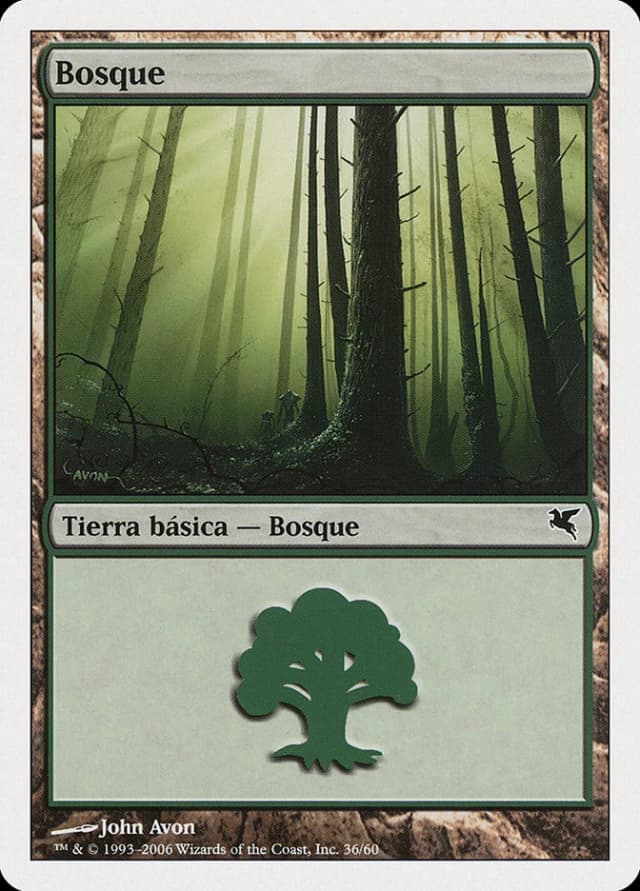 Forest image