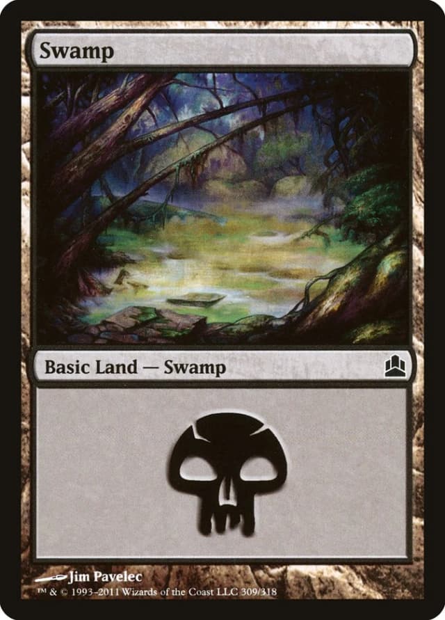 Swamp image