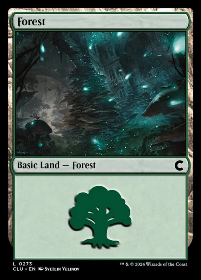 Forest image