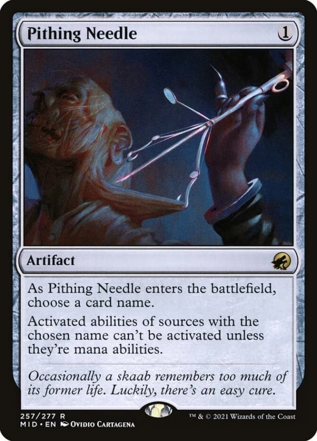 Pithing Needle image