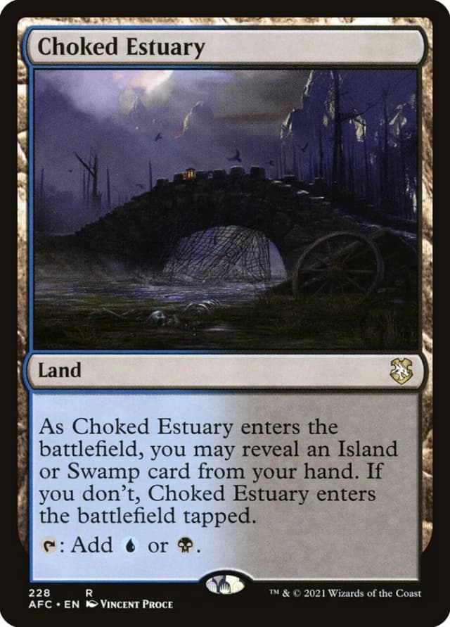Choked Estuary image