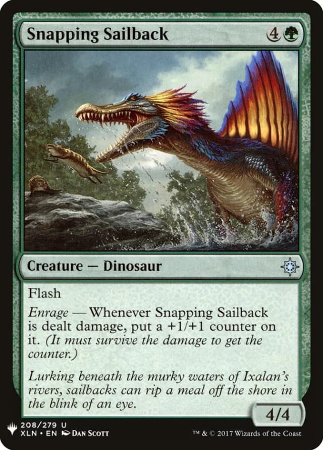 Snapping Sailback image