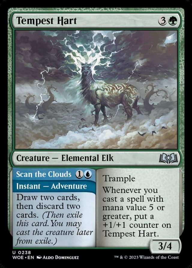 Tempest Hart // Scan the Clouds image