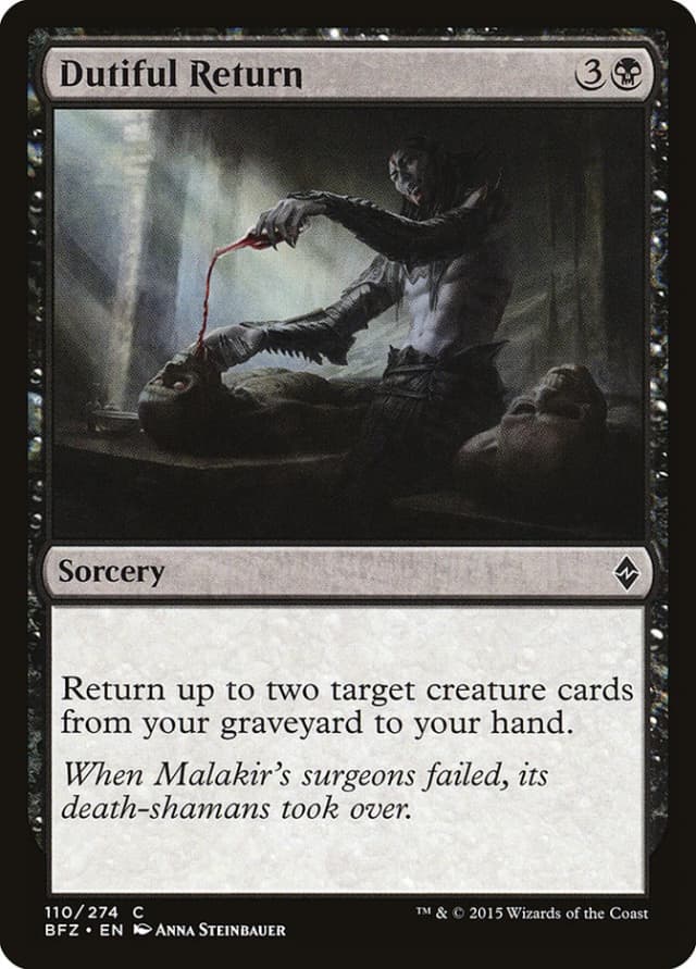 Dutiful Return image