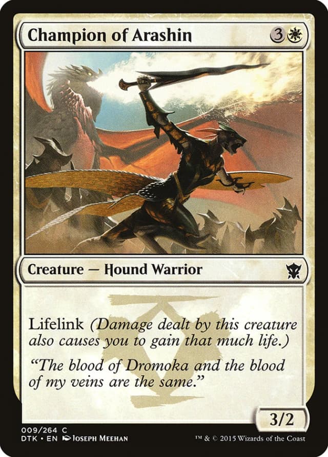 Champion of Arashin image