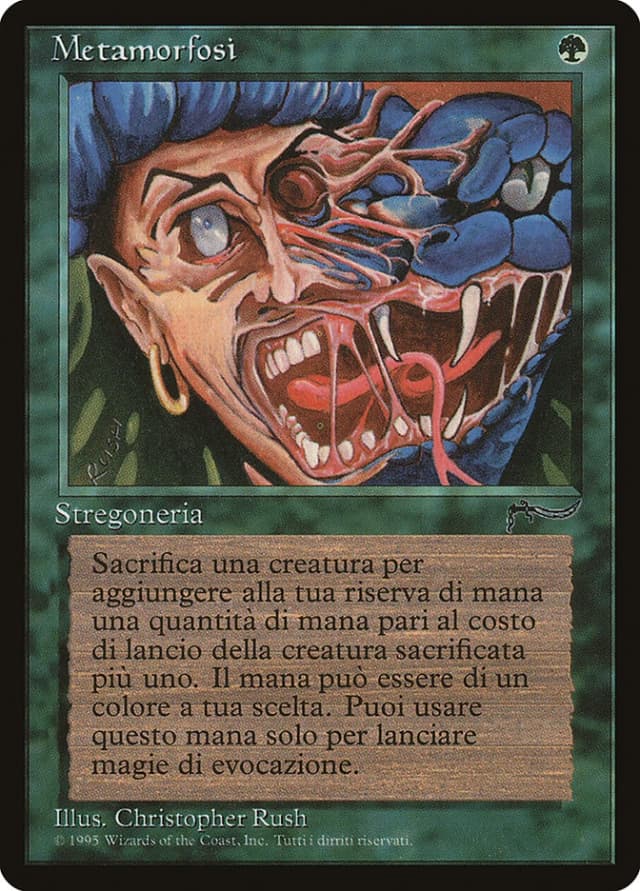 Metamorphosis image