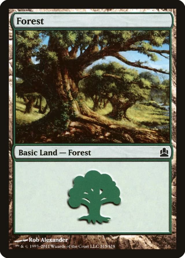 Forest image