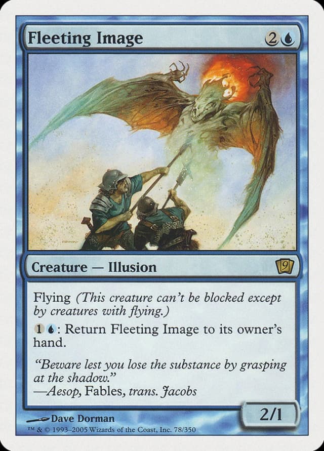 Fleeting Image image