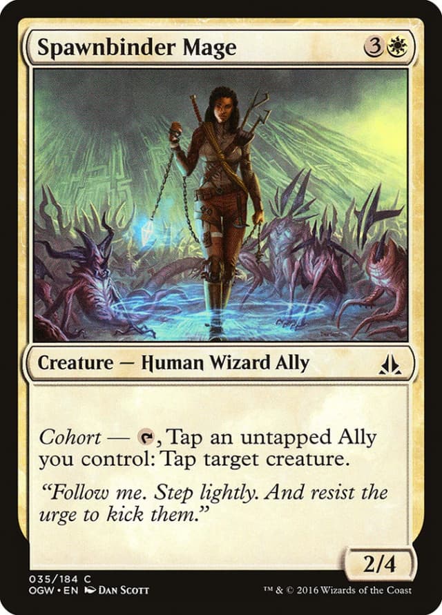 Spawnbinder Mage image