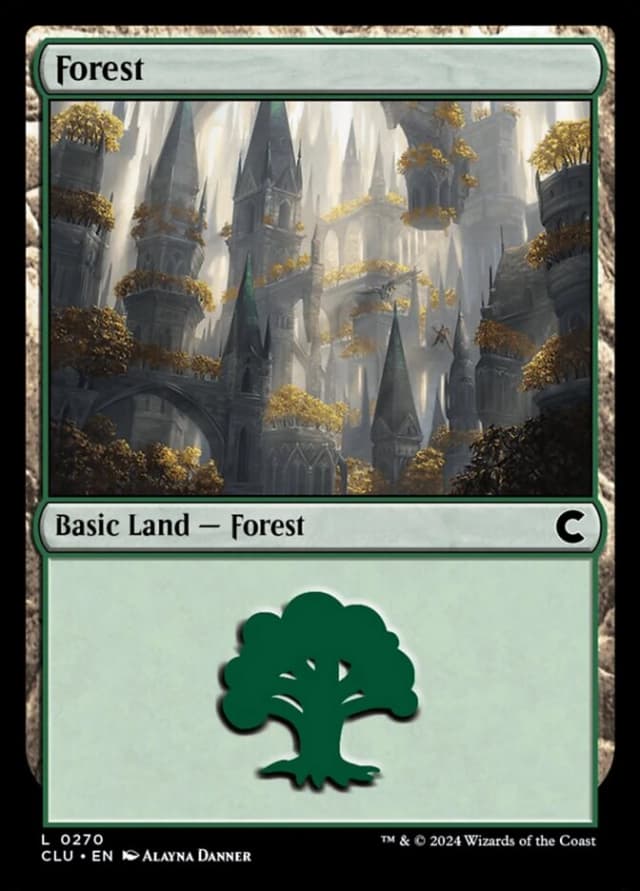 Forest image