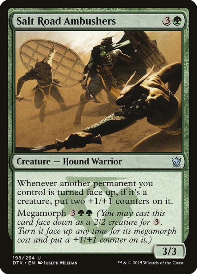 Salt Road Ambushers image