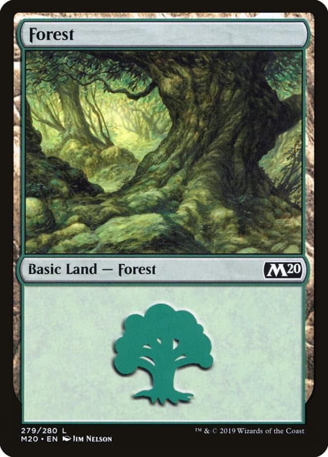 Forest image