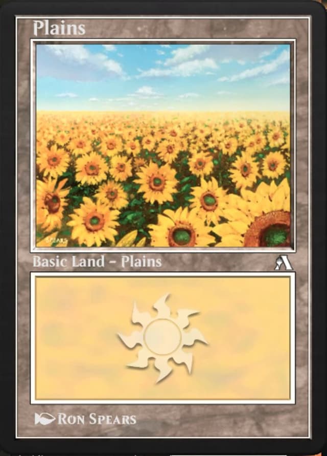 Plains image