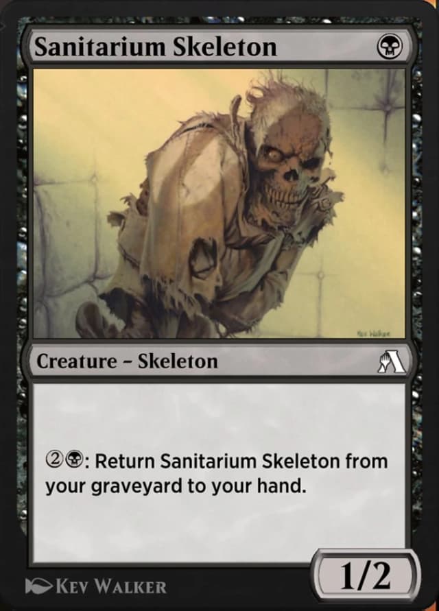 Sanitarium Skeleton image