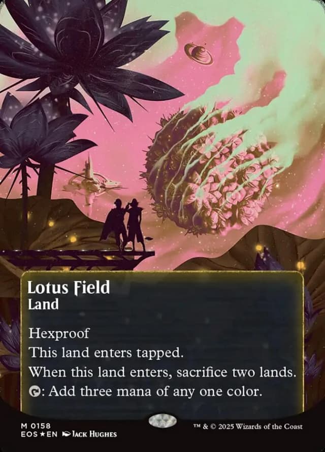 Lotus Field image