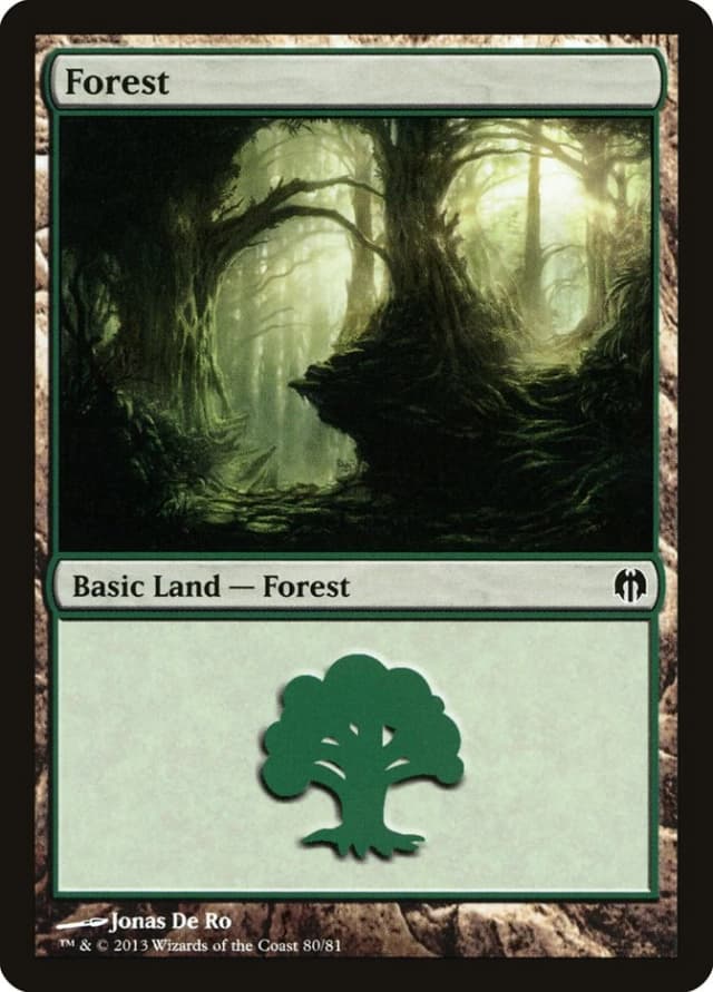 Forest image