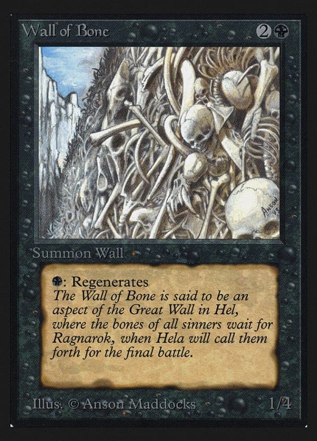 Wall of Bone image