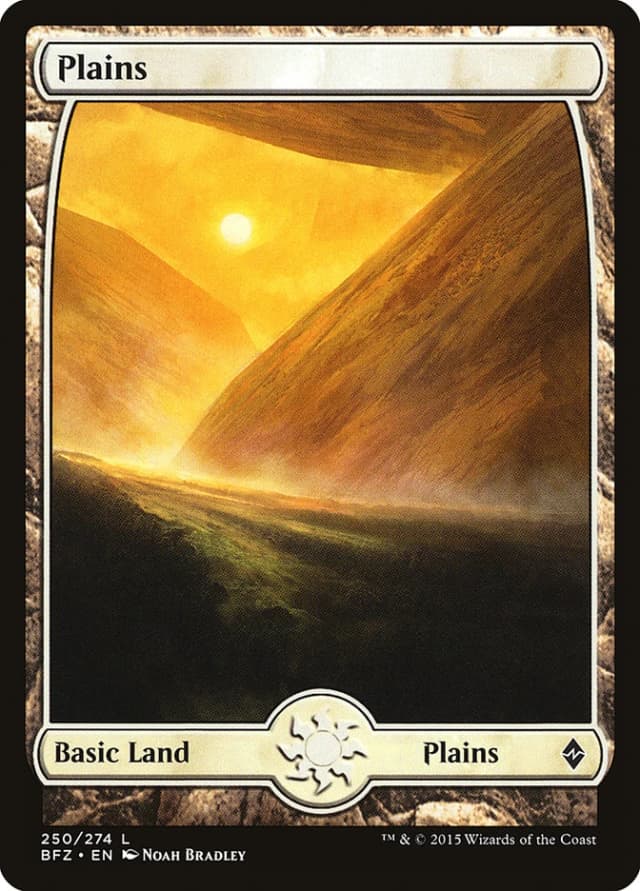 Plains image